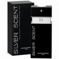 Silver Itense